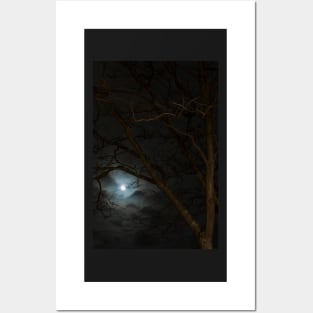 Full Moon Rising - 2 © Posters and Art